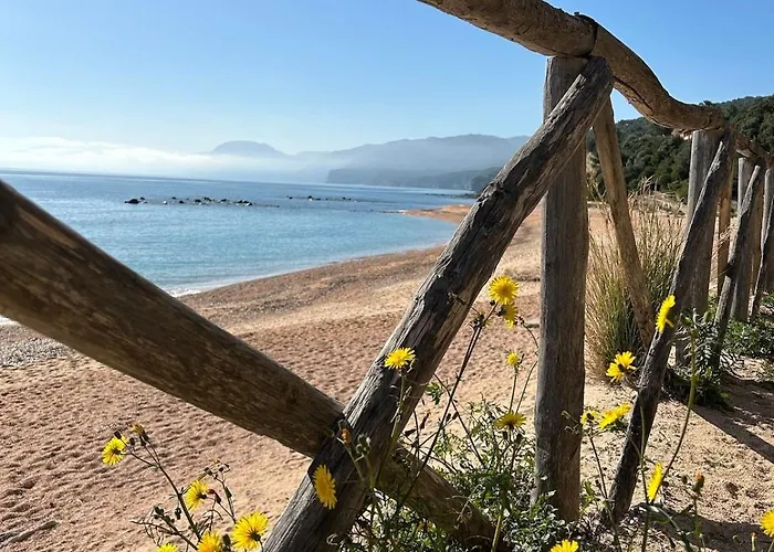 アパート Casa Su Romasinarzu - Iun S3816